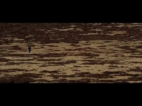 Illustration pour Clip&nbsp;: Mansfield.TYA &#8211; « La Fin Du Monde »