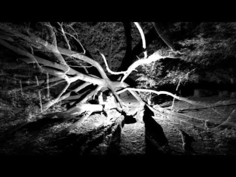 Illustration pour Clip&nbsp;: Ibeyi &#8211; « Oya »