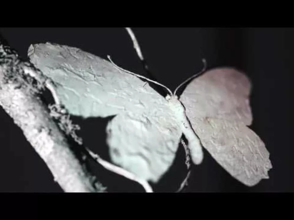 Illustration pour « I Need A Forest Fire », premier clip du dernier album de James Blake