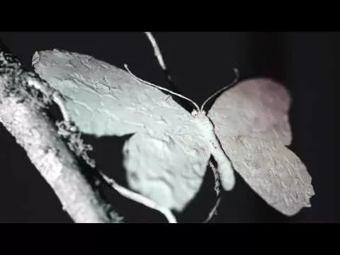 Illustration pour « I Need A Forest Fire », premier clip du dernier album de James Blake