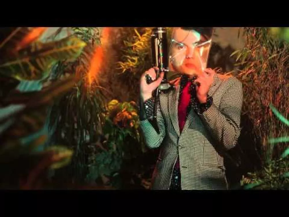 Illustration pour Clip: Danton Eeprom &#8211; « Biscotto and Chimpanzee »