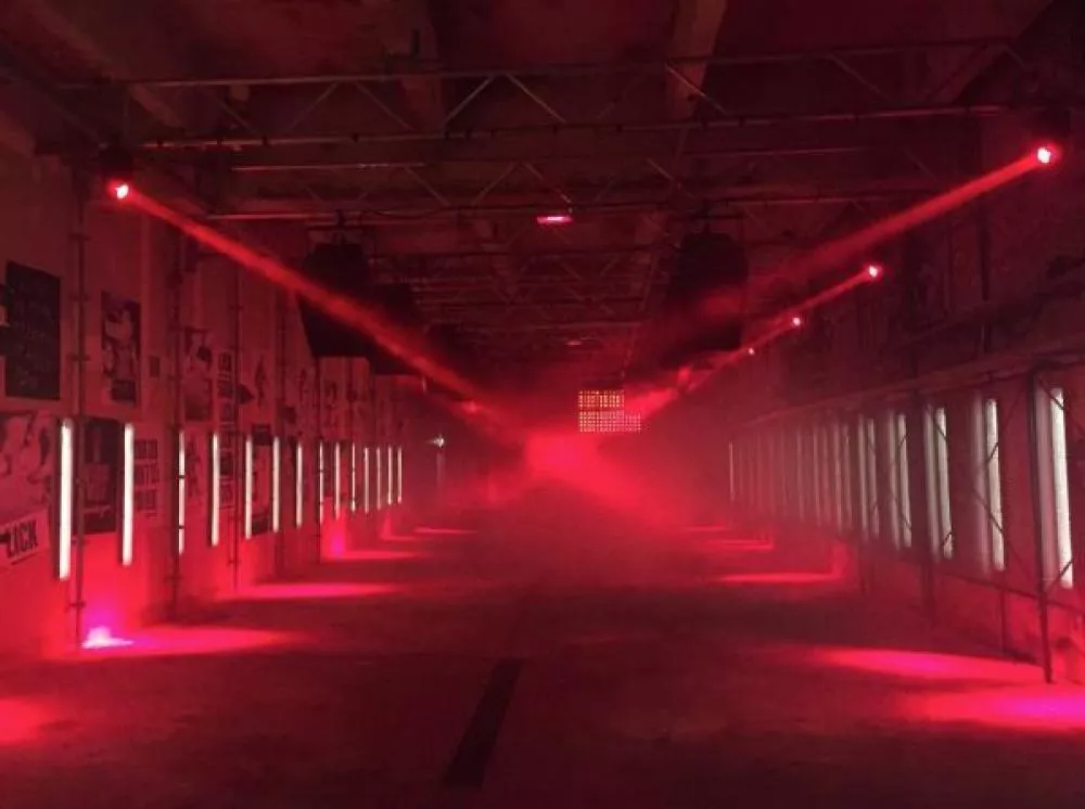 Illustration pour Nuits Fauves fusionne avec le Wanderlust