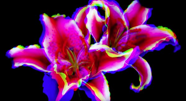 Illustration pour Exclu&nbsp;: Vendredi sort l&rsquo;EP « Ad Finem » et son clip « Collages »