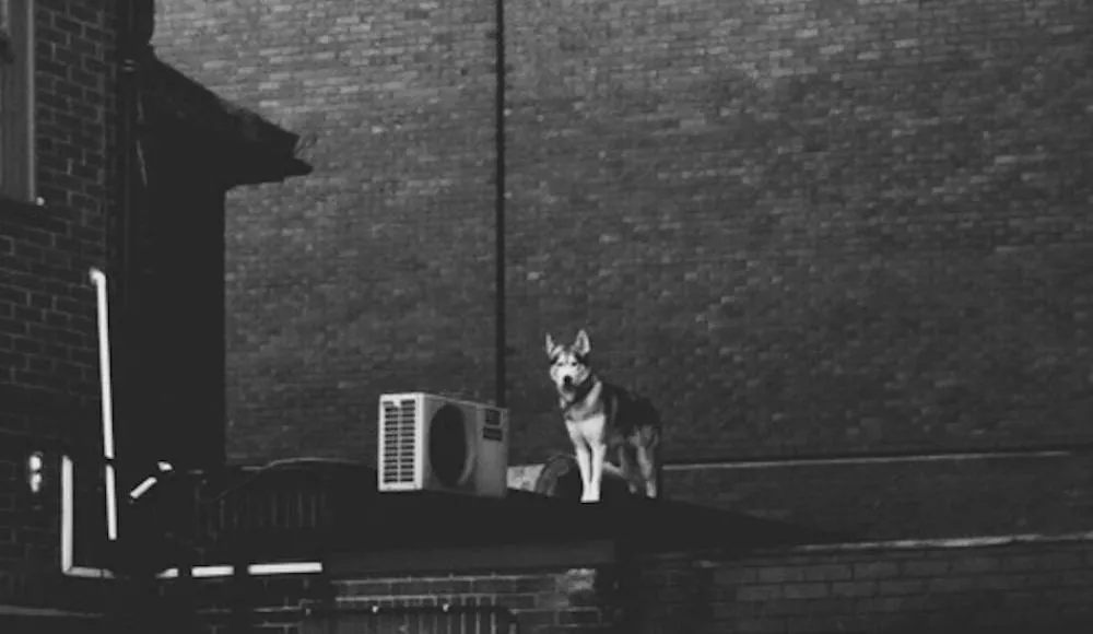 Illustration pour La playlist du dimanche #41