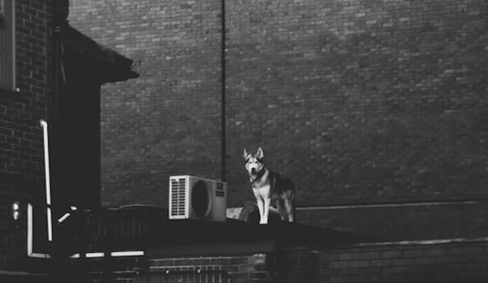 Illustration pour La playlist du dimanche #41