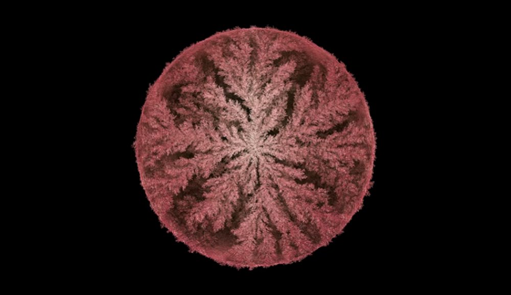 Illustration pour L&rsquo;album « Emergence » de Max Cooper va avoir son édition remixée