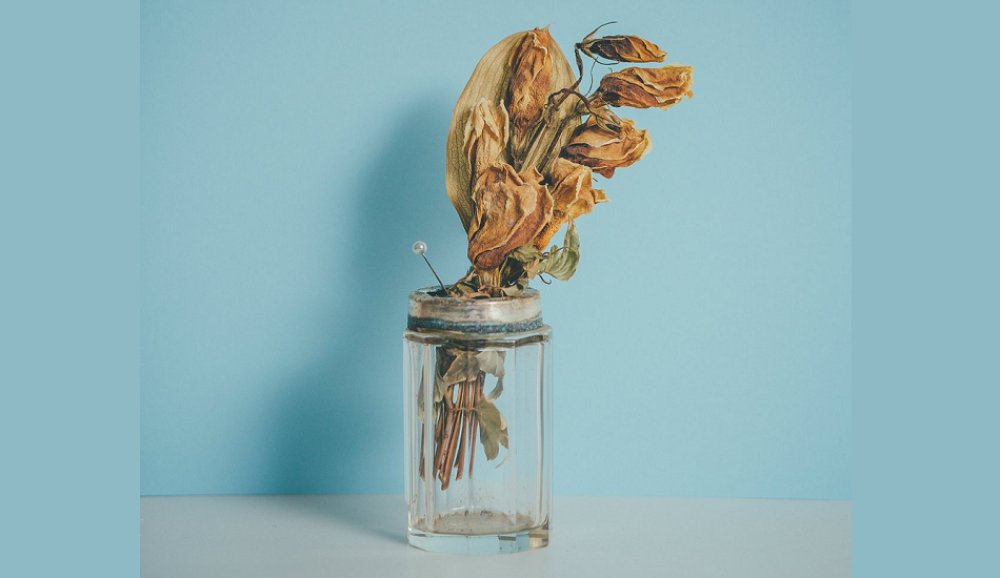 Illustration pour La playlist du mois&nbsp;: février &rsquo;17