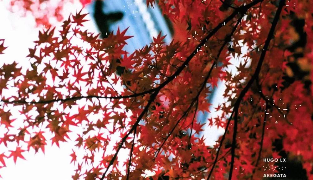 Illustration pour Playlist du dimanche #42