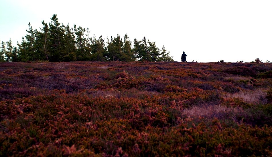 Illustration pour Exclu&nbsp;: « Nothing Is Under Control » d&rsquo;Alter Real, un tout premier titre et une belle découverte pop