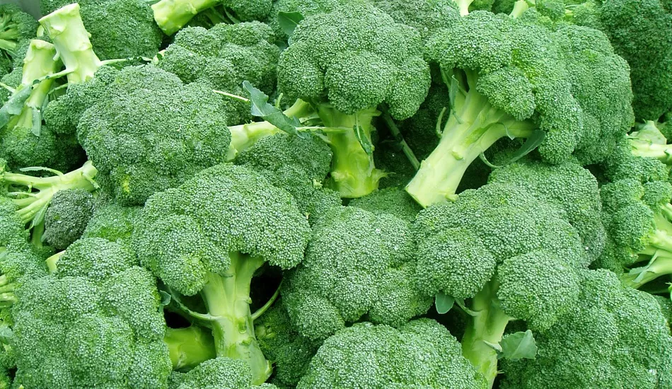 Illustration pour 420&nbsp;: la playlist Tsugi de la mariejeanne