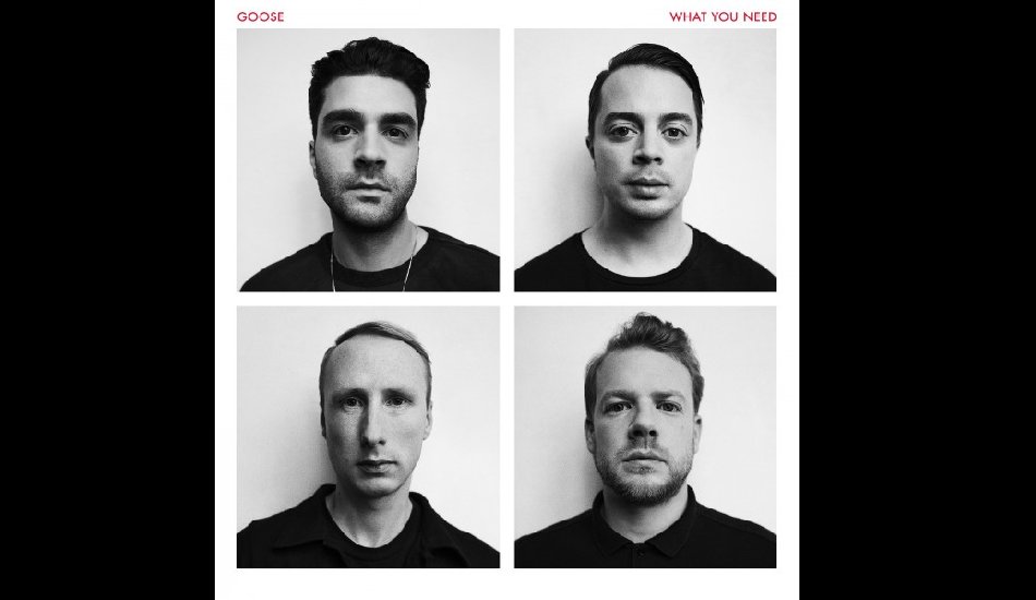 Illustration pour Concours&nbsp;: gagnez des vinyles de « What You Need », le nouvel album de Goose