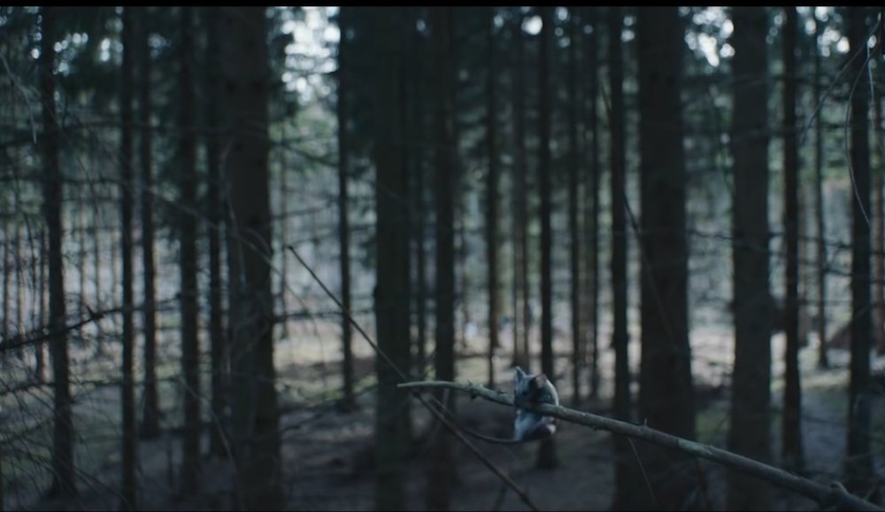 Illustration pour La playlist du mois&nbsp;: mai &rsquo;17