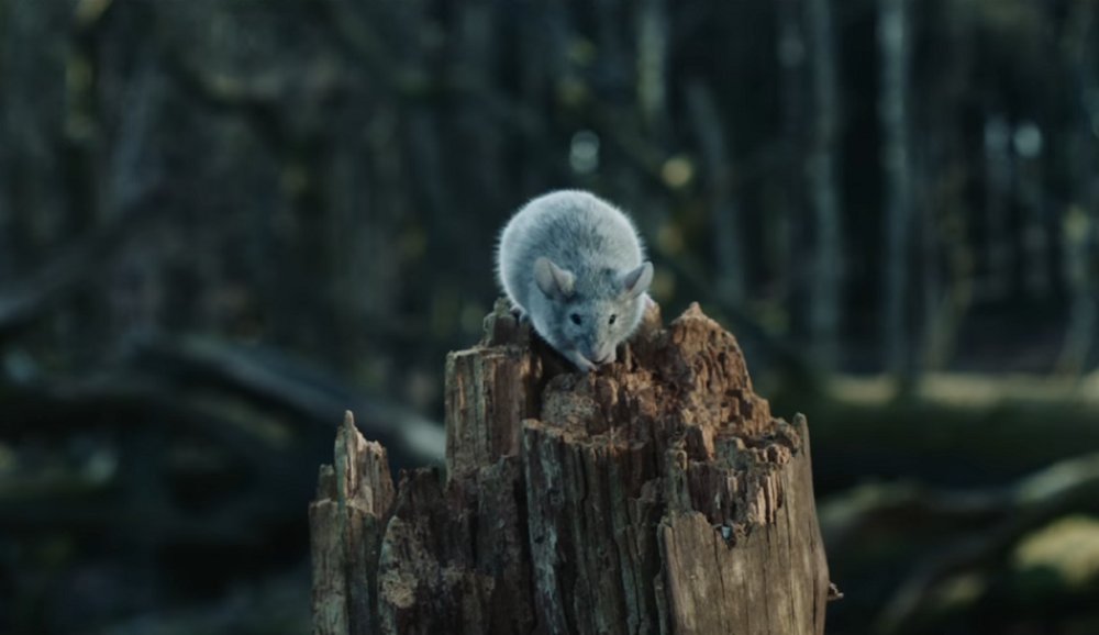 Illustration pour Alt-J offre un clip à son single « In Cold Blood »