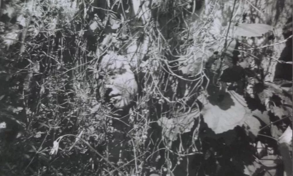 Illustration pour DJ Tennis et le producteur Michael Gracioppo lance Eraclea, un label dédié à l&rsquo;ambient et au post-rock