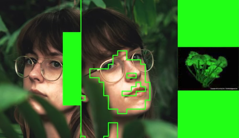 Illustration pour Avalon Emerson annonce un nouvel EP avec un clip très vert