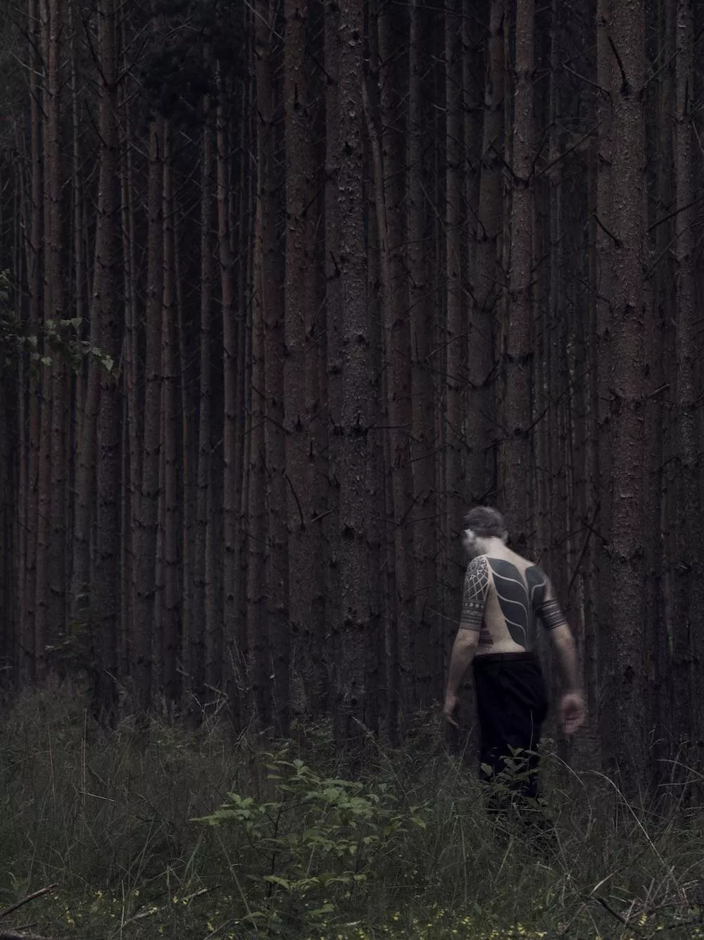 Illustration pour rodhad-2