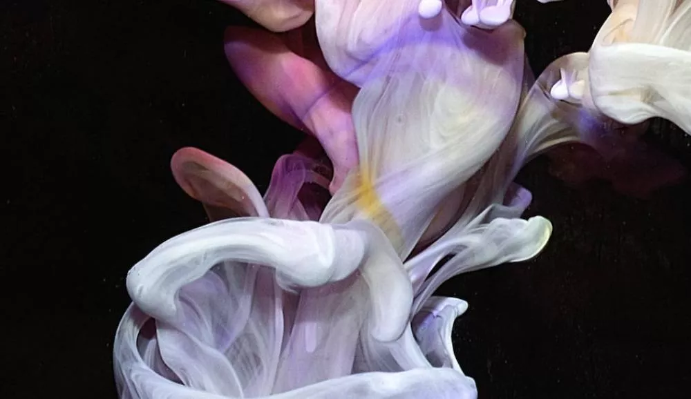 Illustration pour Chorale et house tribale&nbsp;: le nouvel album de Simian Mobile Disco est excellent