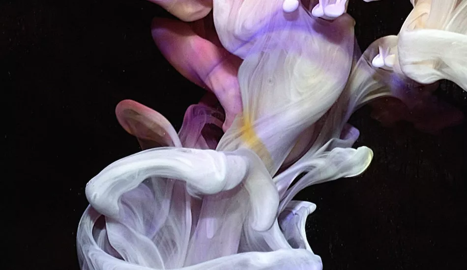 Illustration pour Chorale et house tribale&nbsp;: le nouvel album de Simian Mobile Disco est excellent