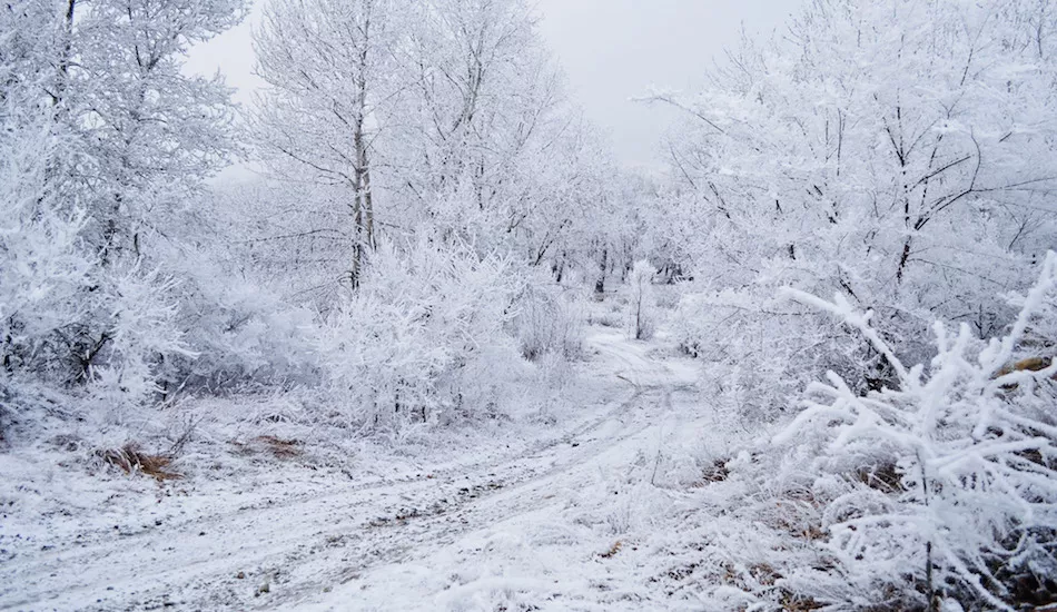 Illustration pour Playlist&nbsp;: 10 clips pour rester au frais malgré la canicule
