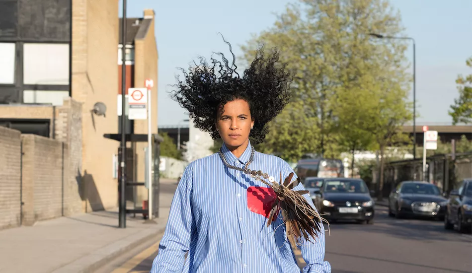 Illustration pour Neneh Cherry&nbsp;: une réédition pour les 30 ans de « Raw Like Sushi »