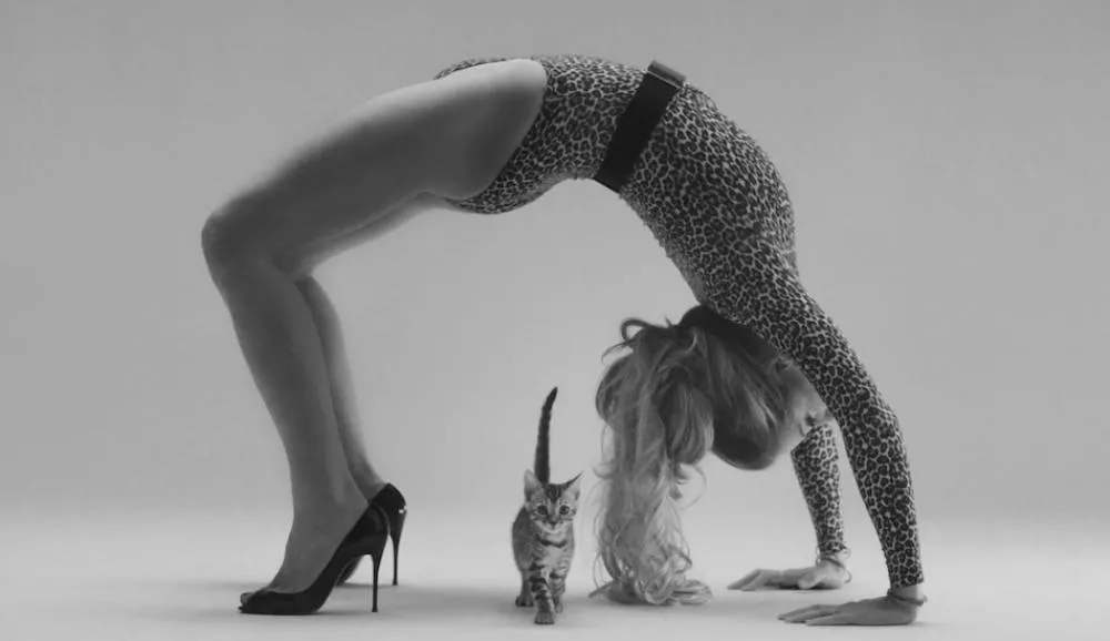 Illustration pour Tsugi Daily&nbsp;: invasion de chats dans le clip de N U I T, Kanye West et Chance The Rapper sur un sample des Jackson 5&#8230;