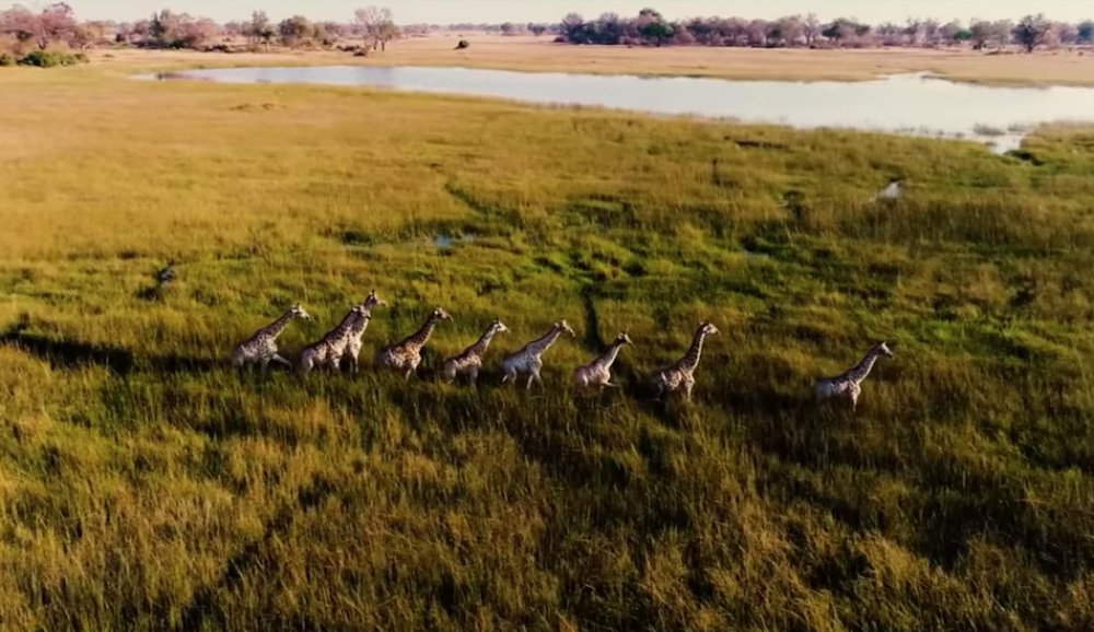 Illustration pour A voir&nbsp;: La Terre reprend le dessus dans « Falling Rain And Light » de Moby