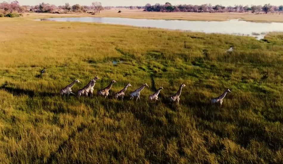 Illustration pour A voir&nbsp;: La Terre reprend le dessus dans « Falling Rain And Light » de Moby