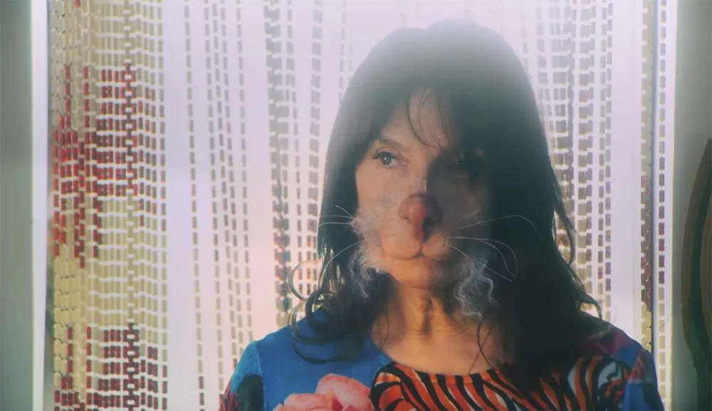 Illustration pour Tsugi Daily&nbsp;: le clip animal de Feu! Chatterton, les rythmes endiablés de Charlotte Adigéry&#8230;