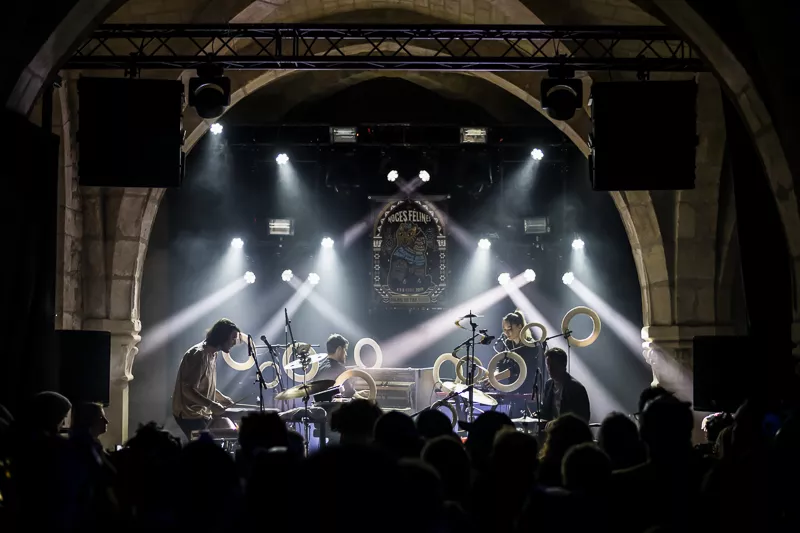 Illustration pour Magnetic Ensemble