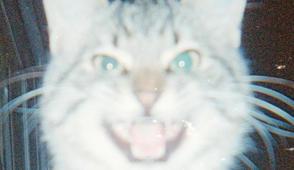 Illustration pour Exclu&nbsp;: découvrez « Already There », la nouvelle pépite de Lumière Noire, le label de Chloé