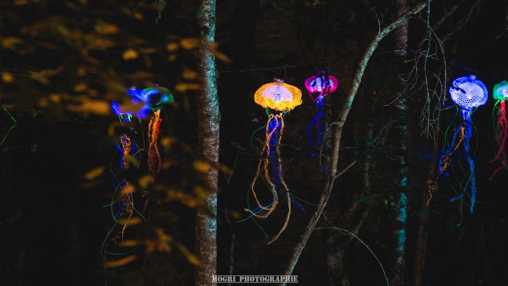 Illustration pour Belle Ile On Air 5