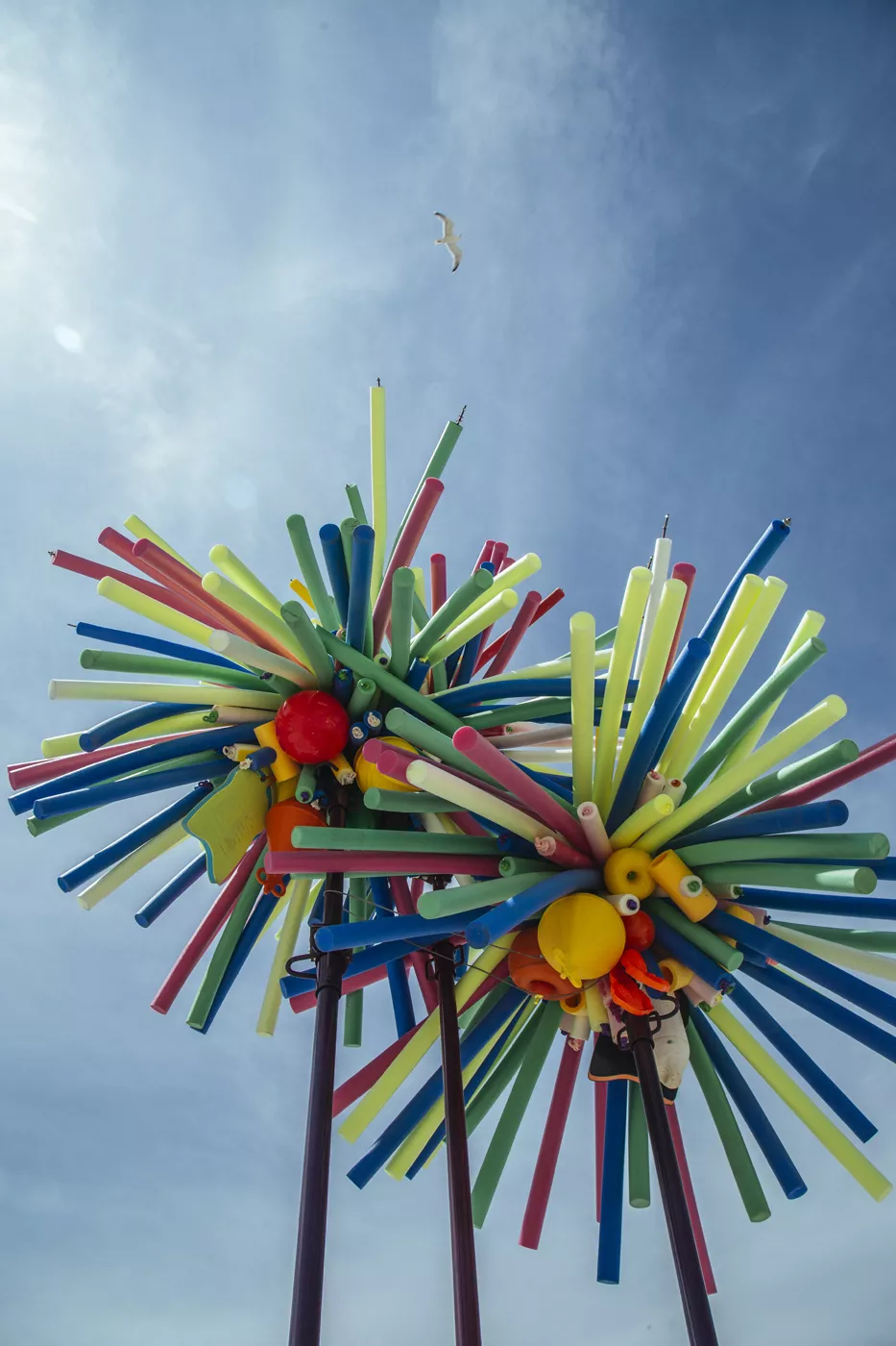 Illustration pour © Sarah Bastin