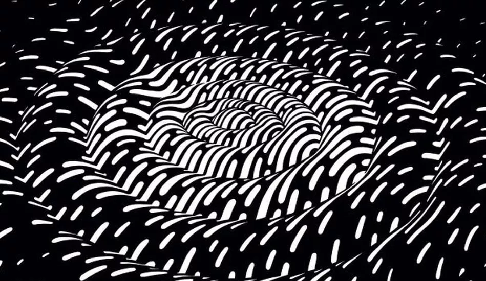 Illustration pour Tsugi Daily&nbsp;: Les 37 premiers noms des Trans Musicales 2019 en playlist