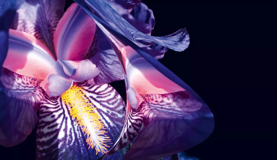 Illustration pour Ça sort aujourd&rsquo;hui&nbsp;: vendredi 22 novembre