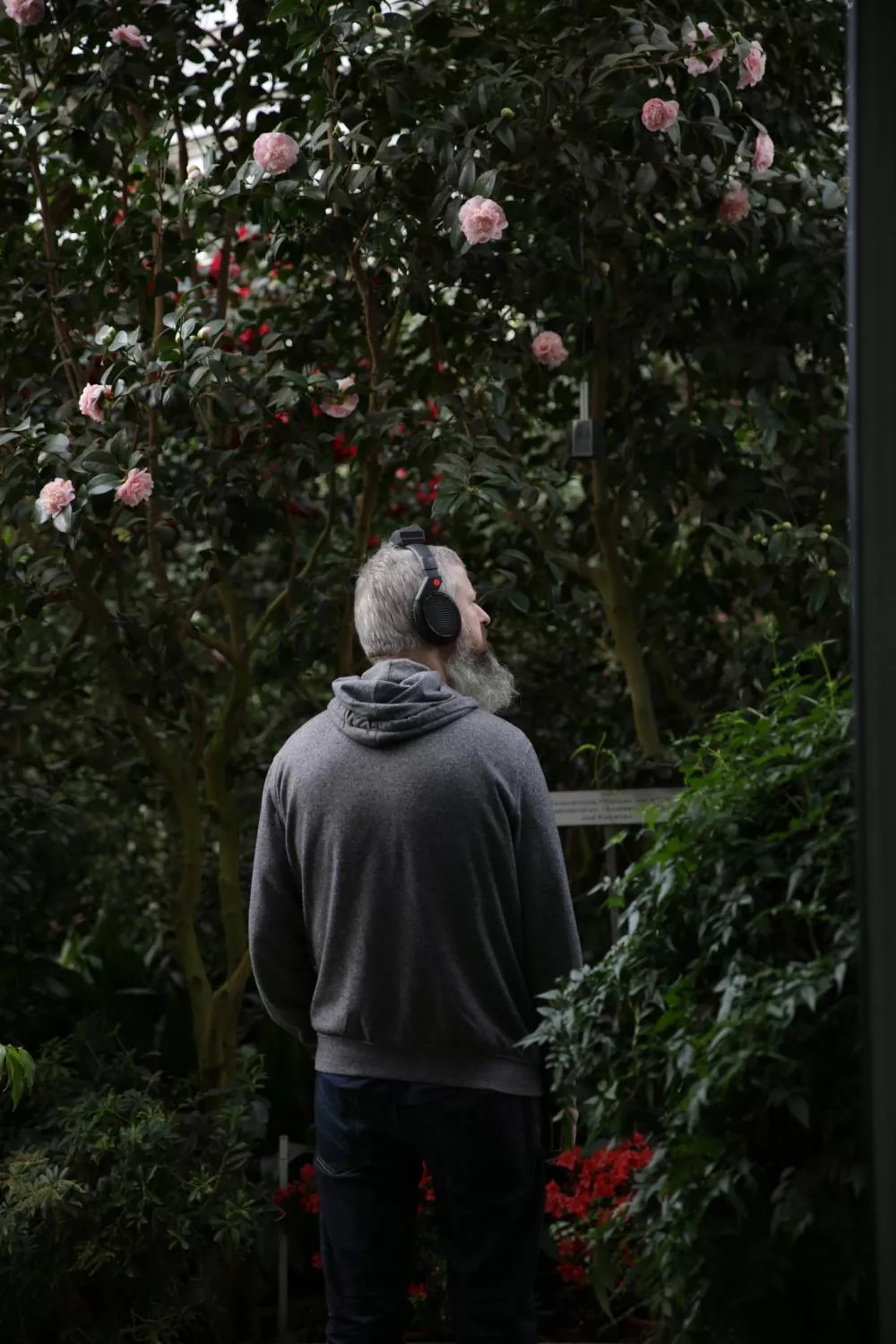 Illustration pour 49429756143_2fed26fa18_k