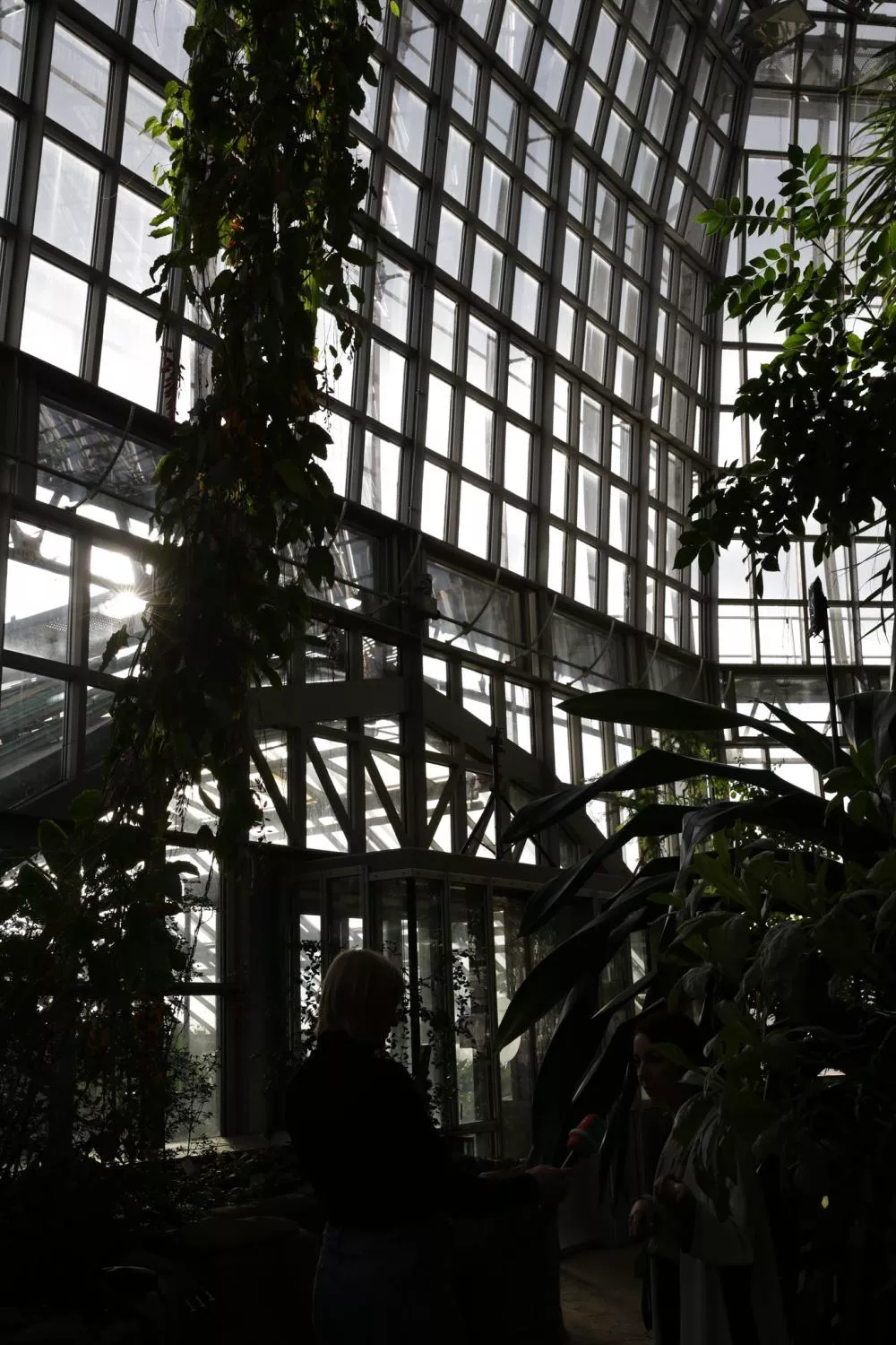 Illustration pour 49430253011_00f70b9521_k