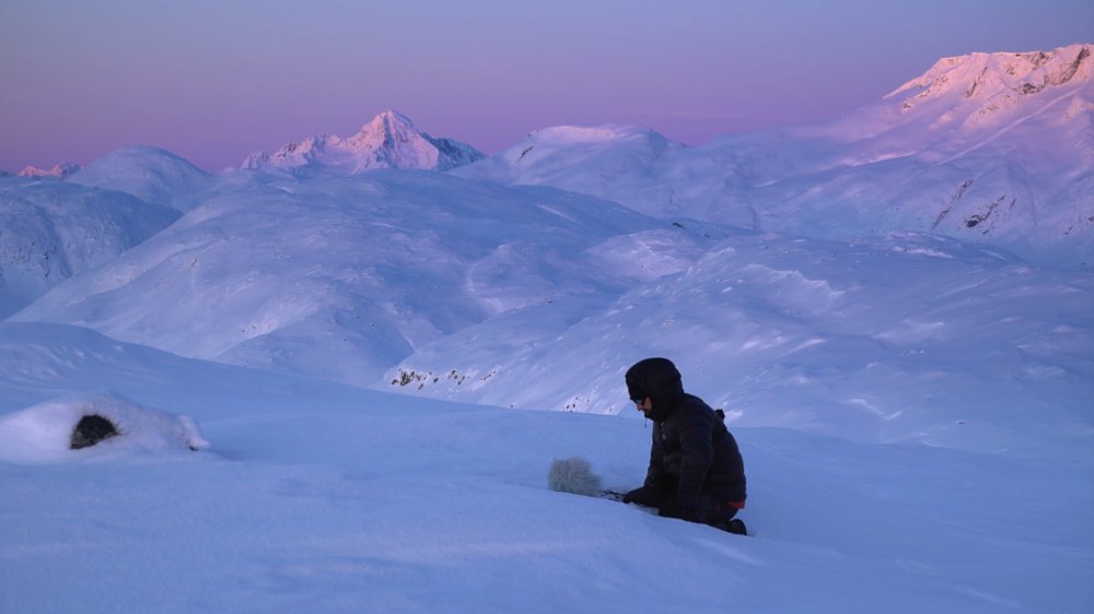 Illustration pour À voir&nbsp;: le rare docu sur l&rsquo;album de Molécule produit au Groenland