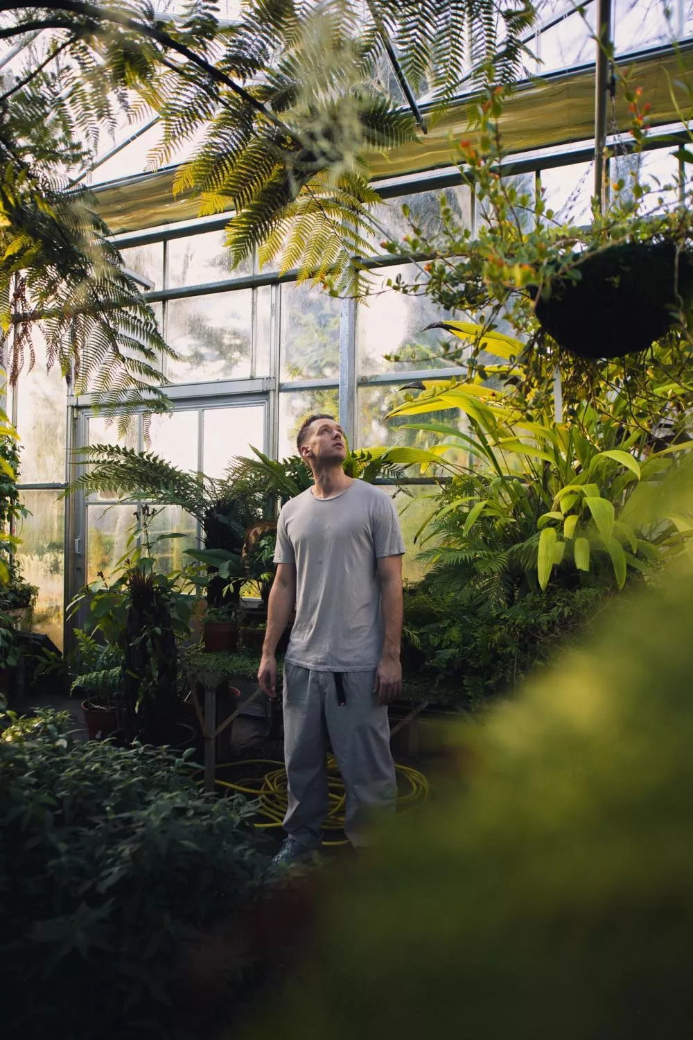 Illustration pour Hodge_3865_web_Credit- Khris Cowley for Here &#038; Now