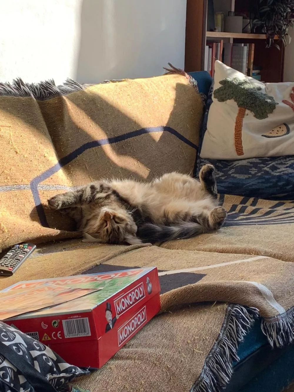 Illustration pour 593e6672-a790-4027-ad41-b3ddf7df21a7