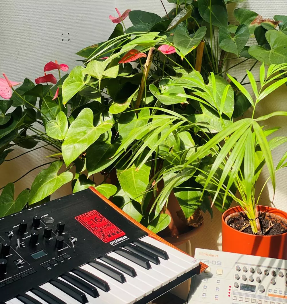 Illustration pour Plantes Marina Trench