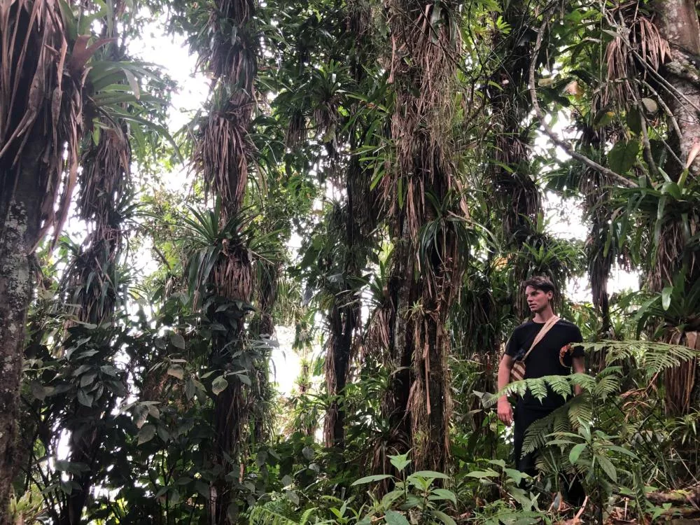 Illustration pour IMG_4482