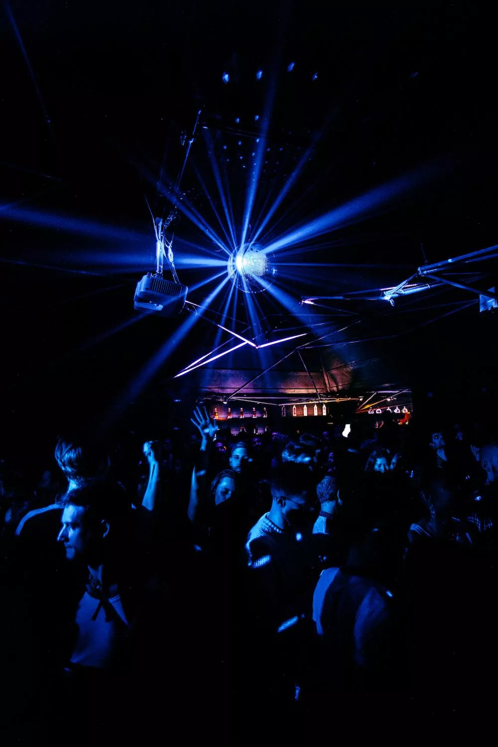 Illustration pour lily rault 1