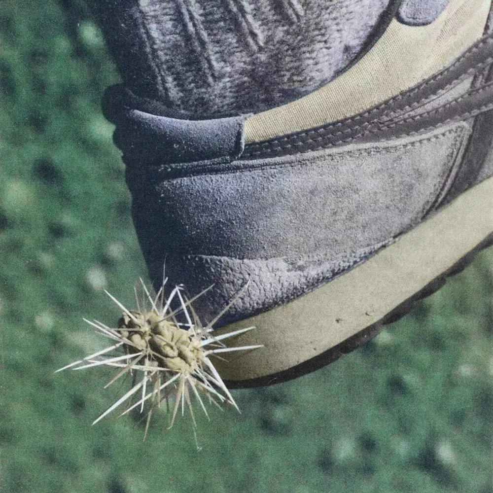 Illustration pour a0751377172_10