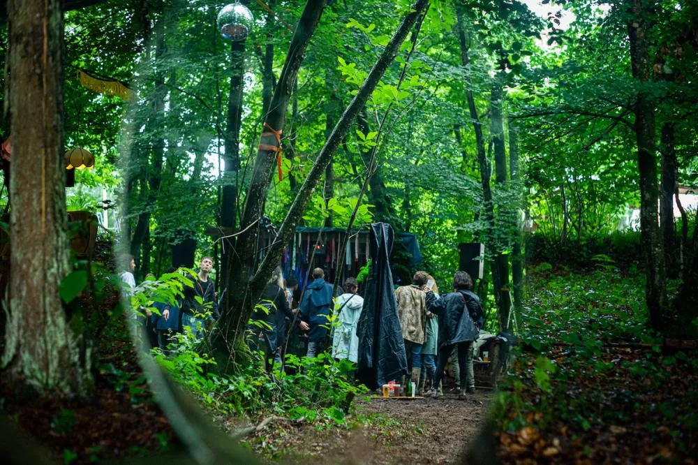 Illustration pour ihebfehri-feudebroussaille-4-DSC05063