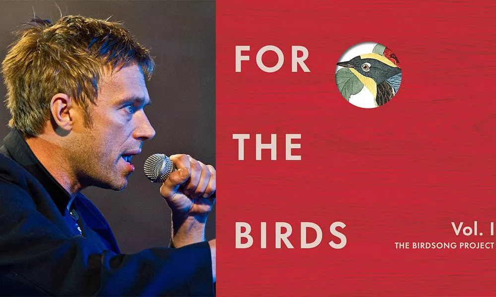 Illustration pour Damon Albarn, Nick Cave et plus de 220 artistes réunis pour un album autour des chants d’oiseaux