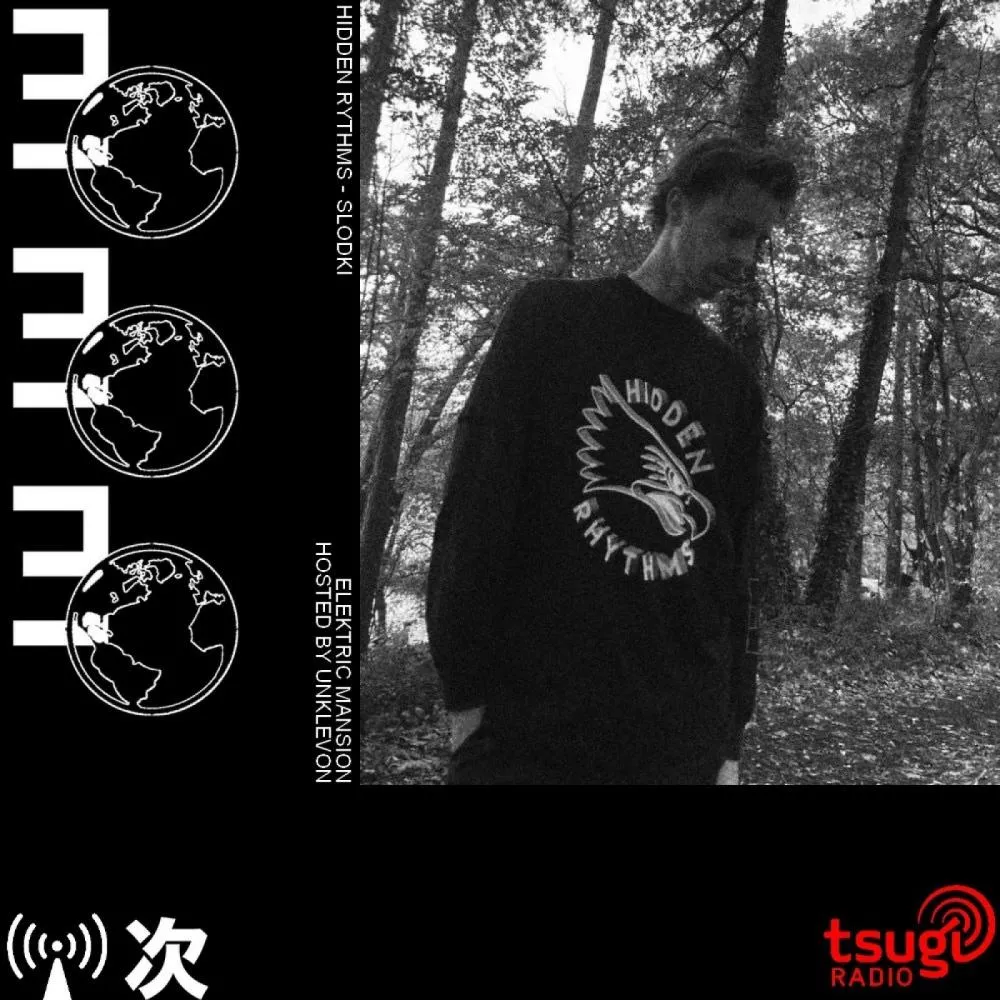 Elektric Mansion par Unklevon : Slodki