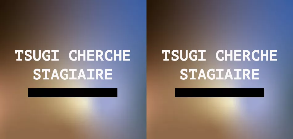 tsugi cherche stagiaire