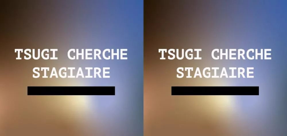 tsugi cherche stagiaire