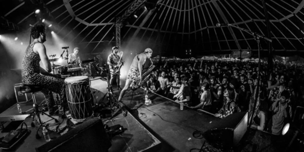 Édredon Sensible © Maxime Hillairaud