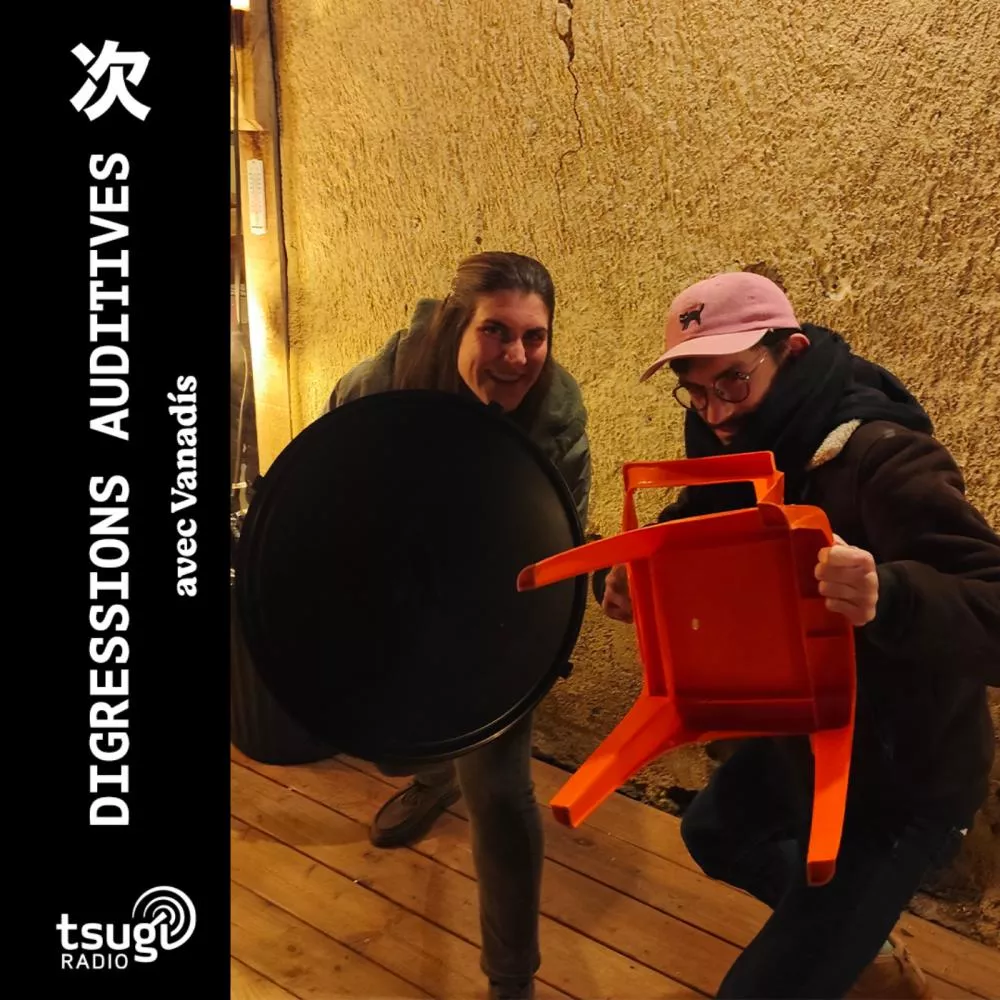 Illustration pour Digressions Auditives Vanadís B2B M.Bleiz · Résidence · Janvier 2026